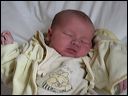 yanis049